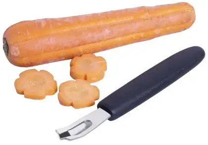 Ziseliermesser Expressversand