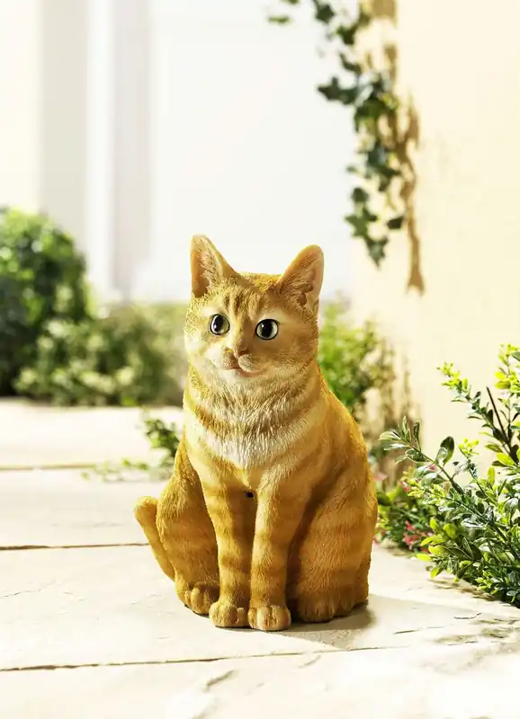 Nur Für Kurze Zeit Bewegungsmelder Katze