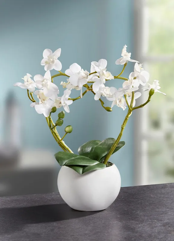 Neu Orchideen-Gesteck im Keramiktopf