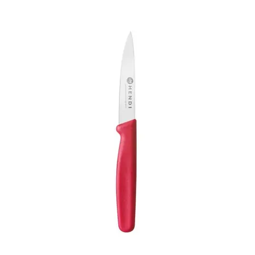 Gemüsemesser spitz Rot (L)192mm Sonderaktion