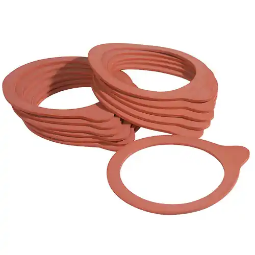 2707/962 Weck® Dichtungsringe, Ø 10 cm, 10 Stück Aktuell