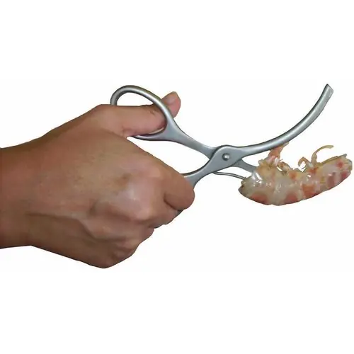 Aktuell Shrimpsschäler Edelstahl