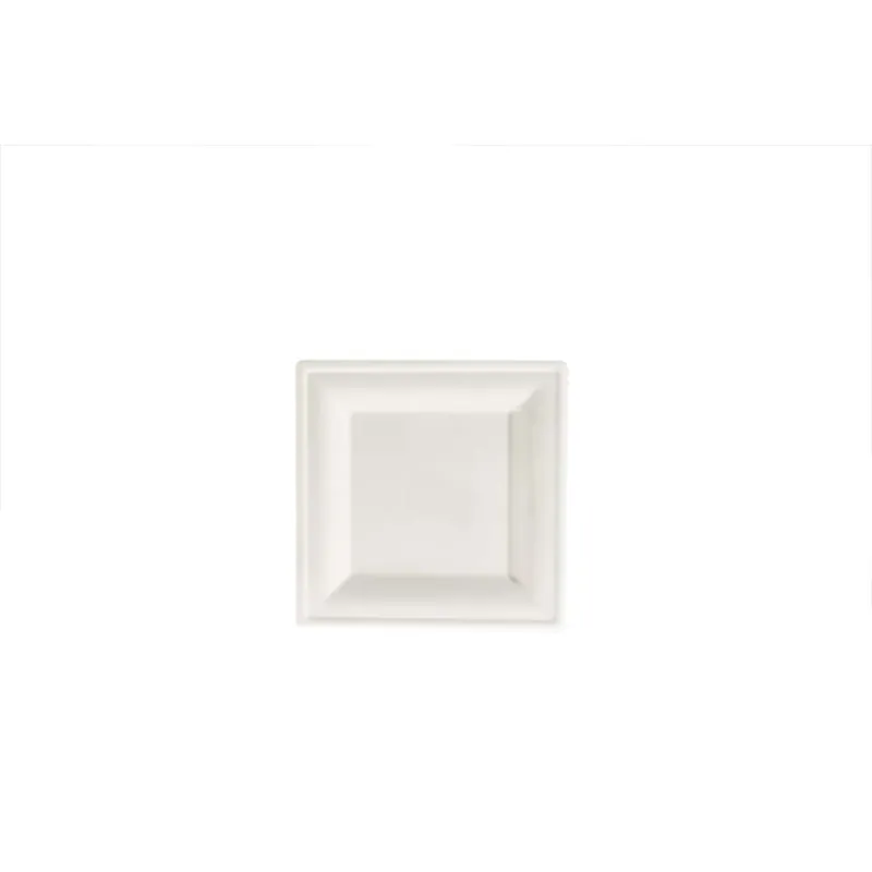 Abverkauf GREENHORN Zuckerrohr-Teller 16 x 16 cm, quadratisch (50 Stück)